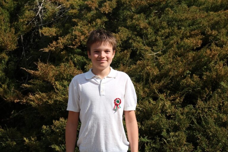 Matematikaversenyek megyei fordulóinak eredményhirdetése